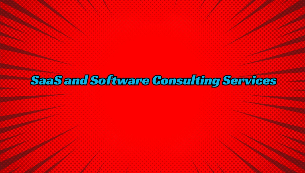 SaaS and Software Consulting