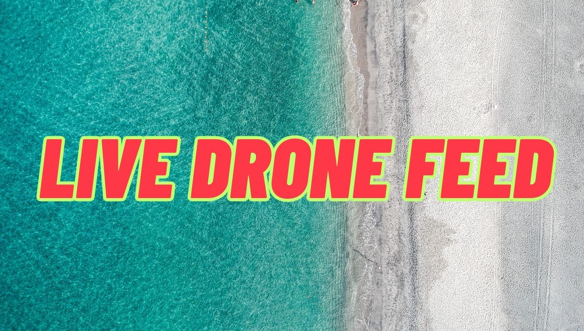 Live Drone Feed