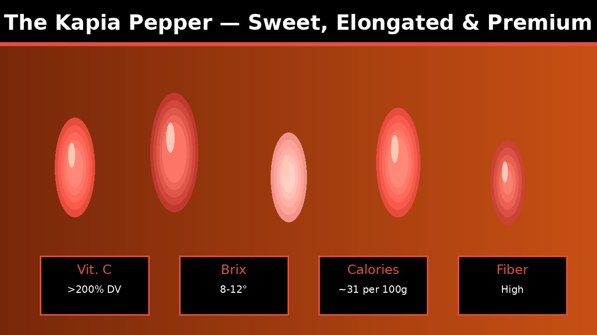 Vibrant red kapia peppers on a white background showing their elongated shape and glossy skin