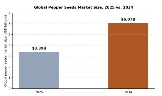 Global pepper seeds market size, 2025 versus 2034, according to Value Market Research.